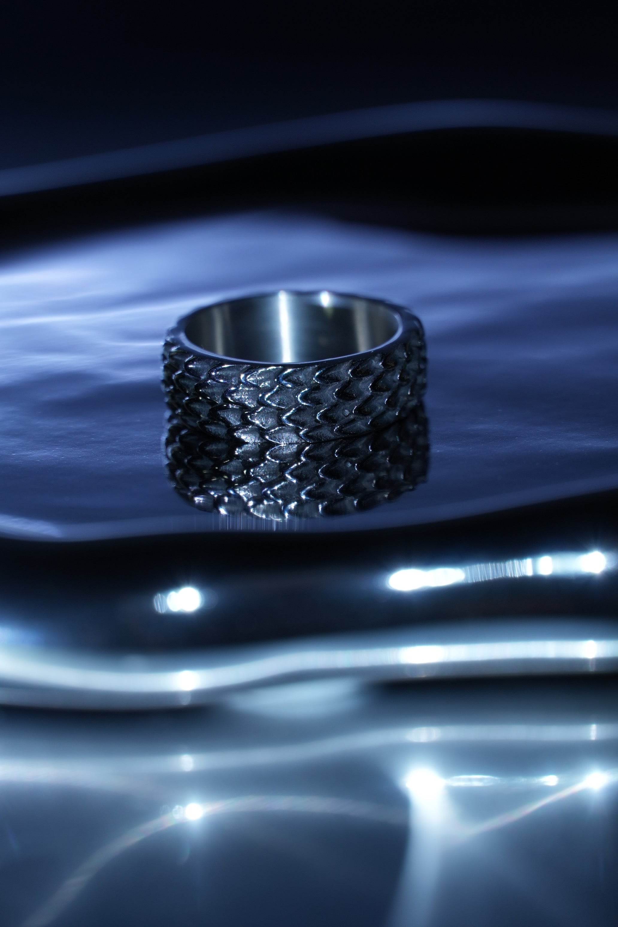 DRAGON SCALE