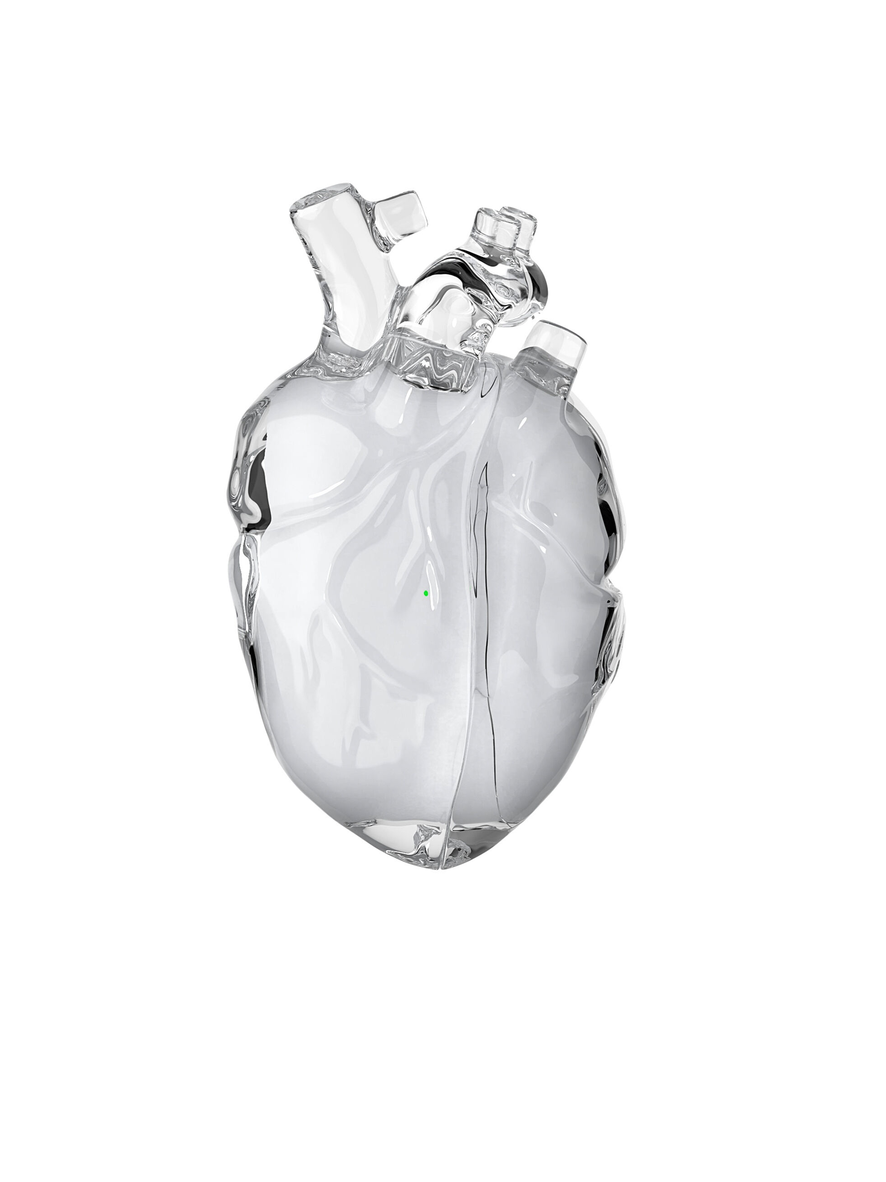 Liquid Heart Protective Case